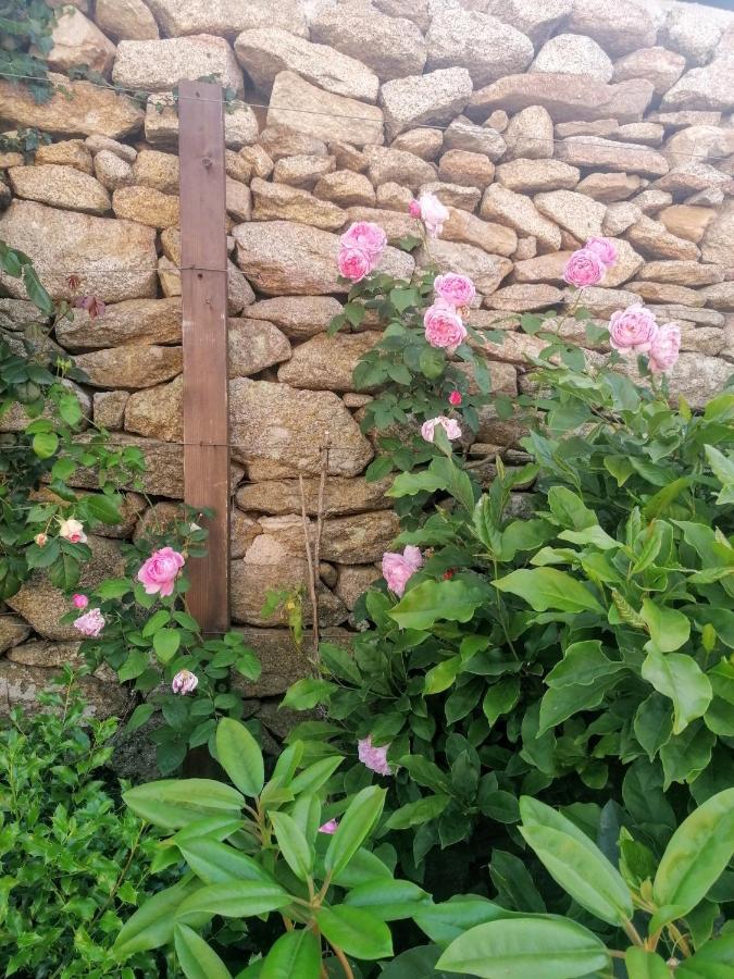 Rosas Da Granja - Casa De Campo المظهر الخارجي الصورة