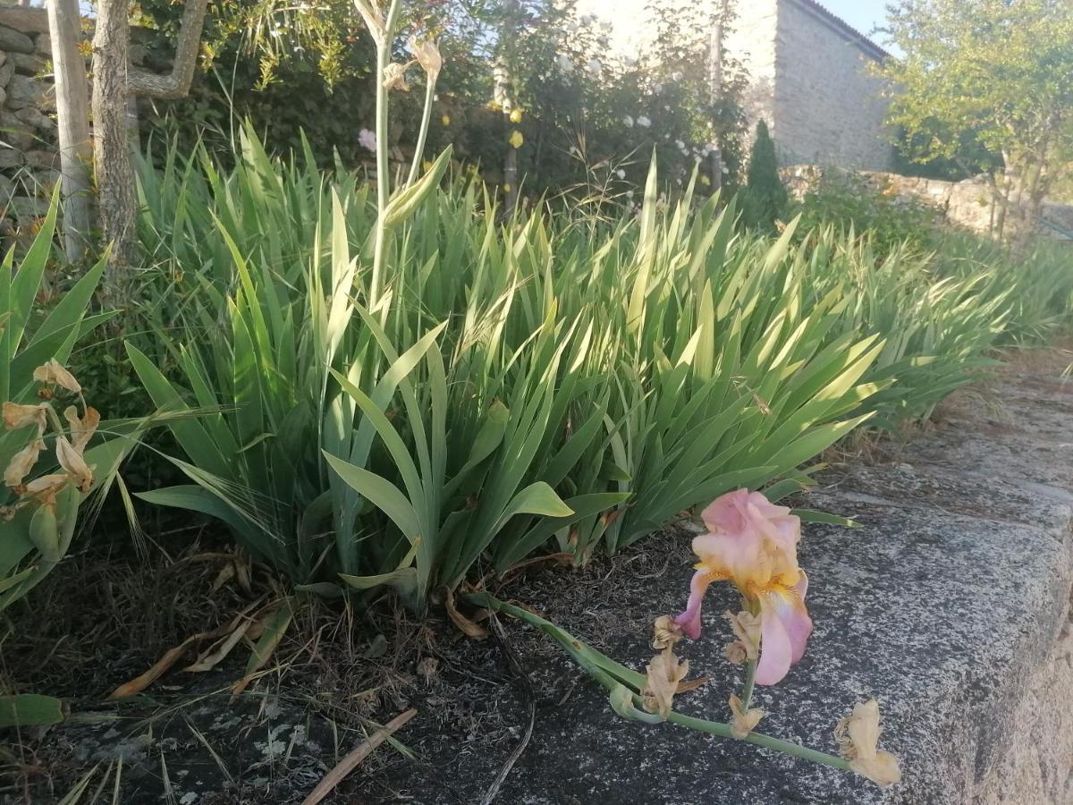 Rosas Da Granja - Casa De Campo المظهر الخارجي الصورة
