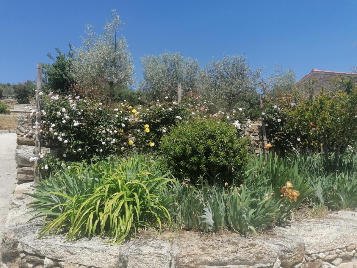 Rosas Da Granja - Casa De Campo المظهر الخارجي الصورة